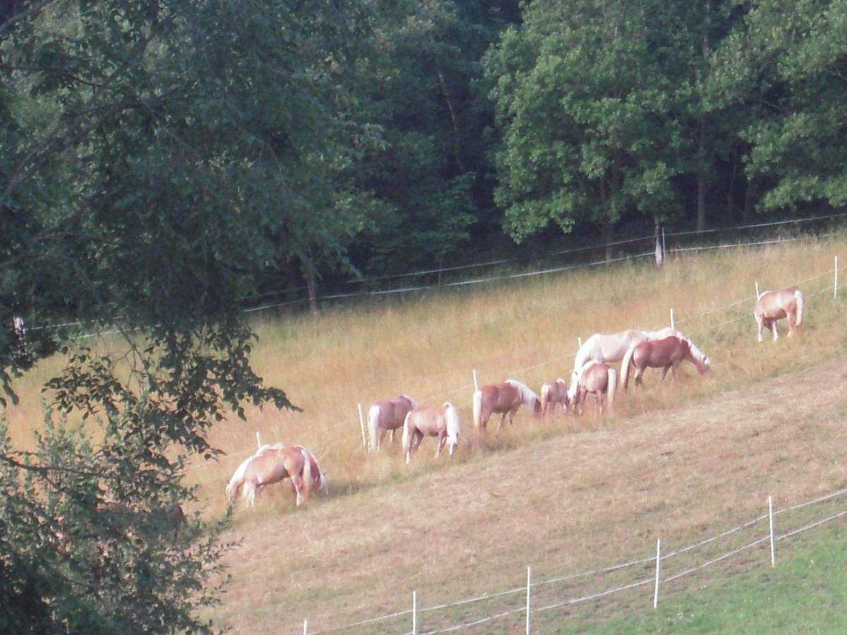Haflingerhof Luef Vila Bad Schönau Exterior foto