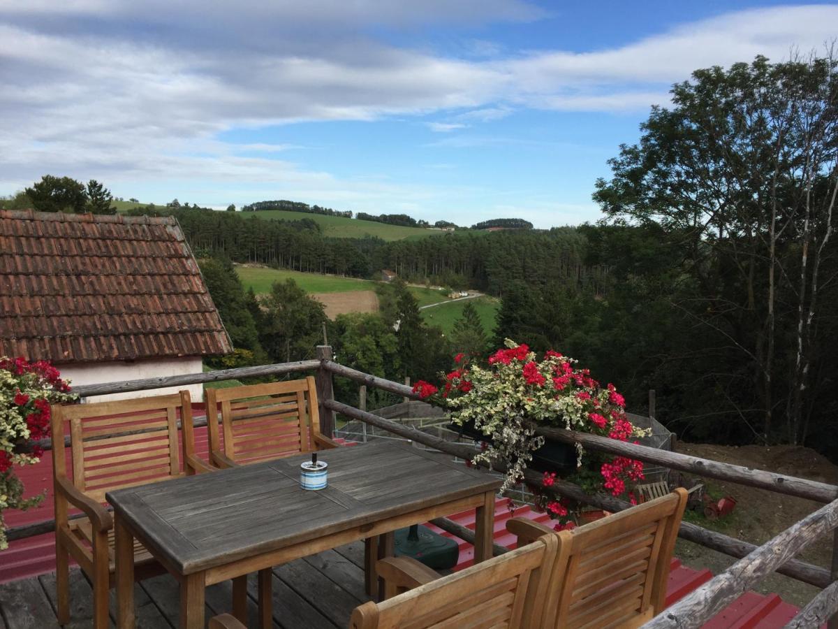 Haflingerhof Luef Vila Bad Schönau Exterior foto