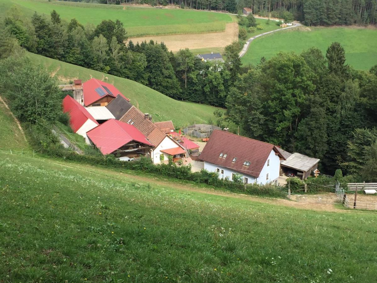 Haflingerhof Luef Vila Bad Schönau Exterior foto