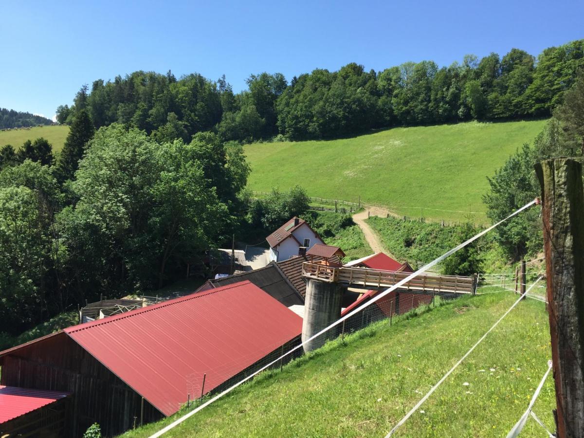 Haflingerhof Luef Vila Bad Schönau Exterior foto