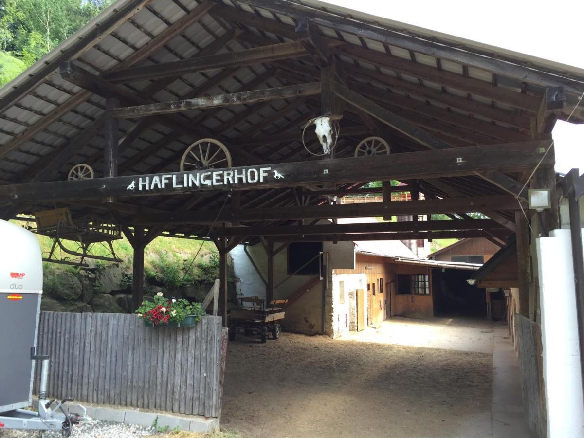 Haflingerhof Luef Vila Bad Schönau Exterior foto