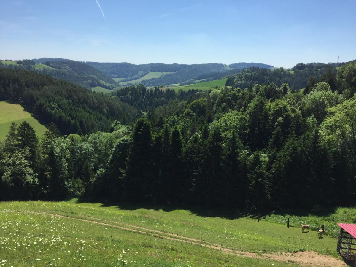Haflingerhof Luef Vila Bad Schönau Exterior foto
