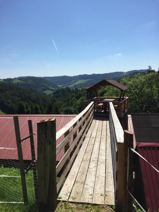 Haflingerhof Luef Vila Bad Schönau Exterior foto