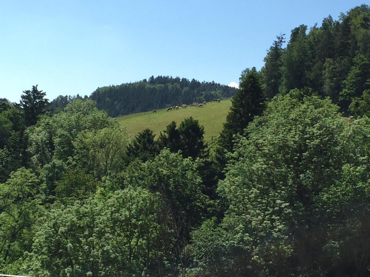 Haflingerhof Luef Vila Bad Schönau Exterior foto